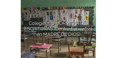 376 HORMIGUITAS ESCRITORAS
