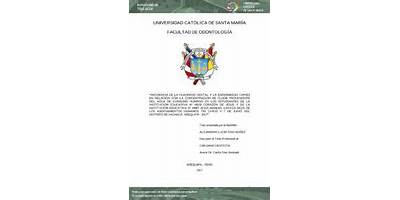 40087 JESUS MANUEL LOAYZA DEZA