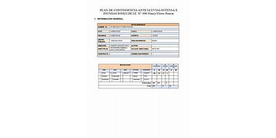 496 NANCY FLORES PAUCAR
