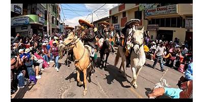 50439 PATRON DOCTOR SAN JERONIMO