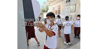 533 MADRE TEREZA DE CALCUTA