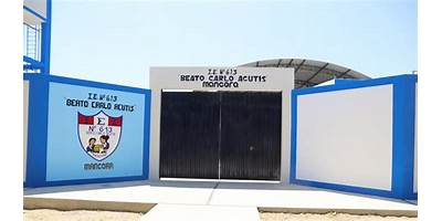613 BEATO CARLO ACUTIS