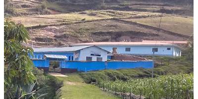 80466 RICARDO PALMA