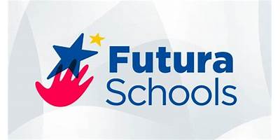 AMERICAN SCHOOL
