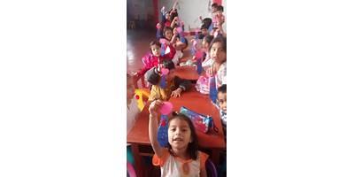 AMERICAN SCHOOL