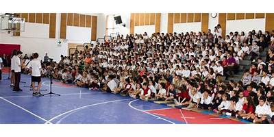 AMERICAN SCHOOL