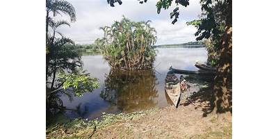 CUIPARI