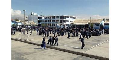 D UNI SCHOOL