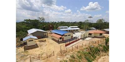 ESCUELA ARBOL