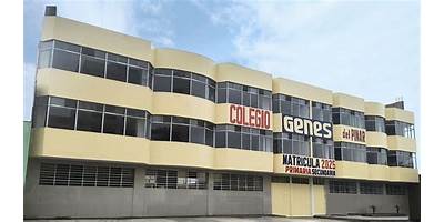 GENES EL PINAR - COMAS