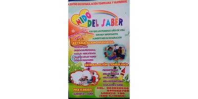LOS PIONEROS DEL SABER