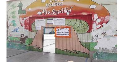 MIS ANGELITOS