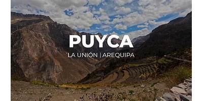 PUYCA