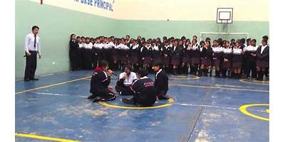 SACO OLIVEROS APEIRON