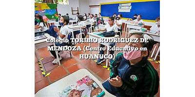 TORIBIO RODRIGUEZ DE MENDOZA