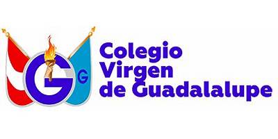VIRGEN DE GUADALUPE