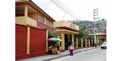 LA LUCUMA