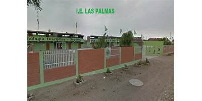 LAS PALMAS DE HUICHUD