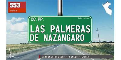 LAS PALMERAS DE NAZANGARO