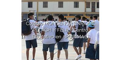 MONSEÑOR ENRIQUE PELACH Y FELIU