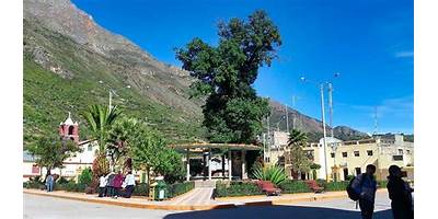 ODEC CANARIA