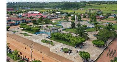 ODEC PURUS