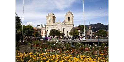 PALMAS DEL EXITO