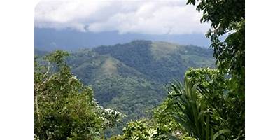 PUERTO SIRA
