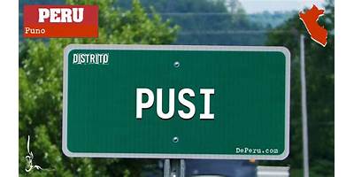 PUSI