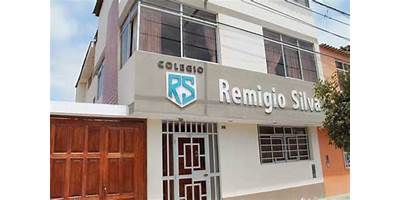 REMIGIO SILVA