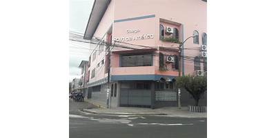 ROSA DE AMERICA