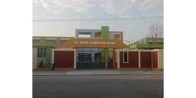 ROSA FLORES DE OLIVA