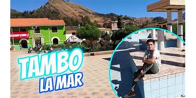TAMBO