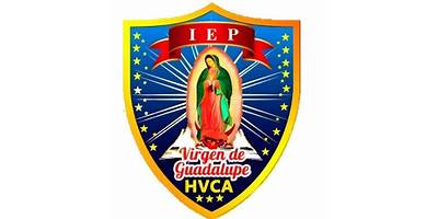 VIRGEN DE GUADALUPE