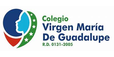 VIRGEN DE GUADALUPE