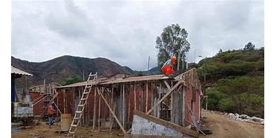 ALEGRIA DE NIÑO