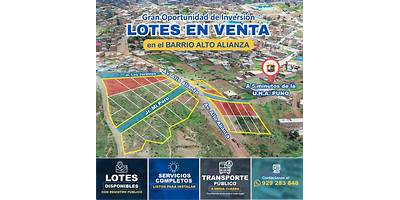 ALTO ALIANZA