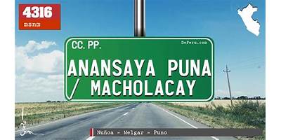 ANANSAYA PUNA