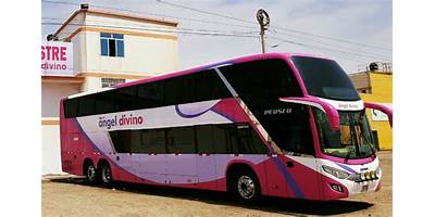 ANGEL DIVINO