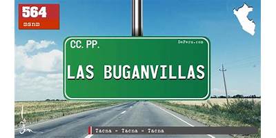 BUGANVILLAS