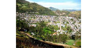 CARDON ALTO