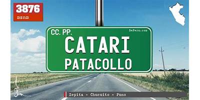 CATARI PATACOLLO