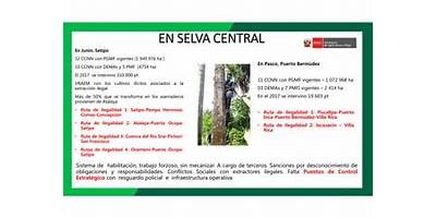 CCNN MIRAFLORES