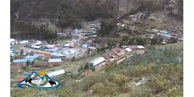 CEDRO