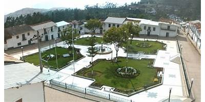 CHONTA ALTA