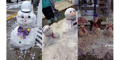 COPITAS DE NIEVE