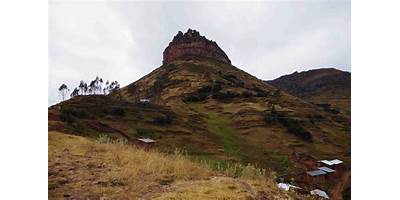CORONITA DEL INCA
