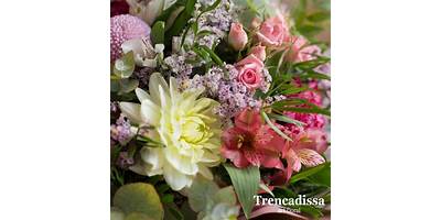 DALIAS Y CLAVELES