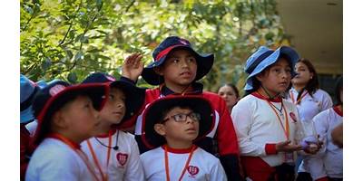 ECOS DE ALEGRIA