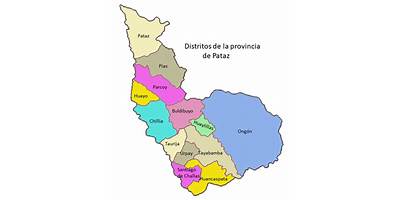 EL CEDRO